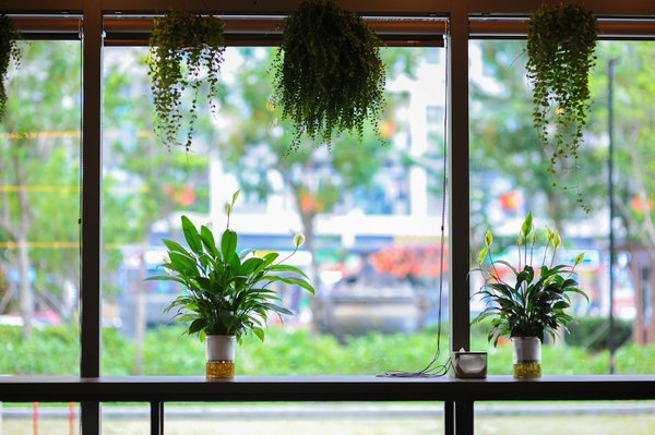 Transition énergétique : top 5 innovations pour votre habitat