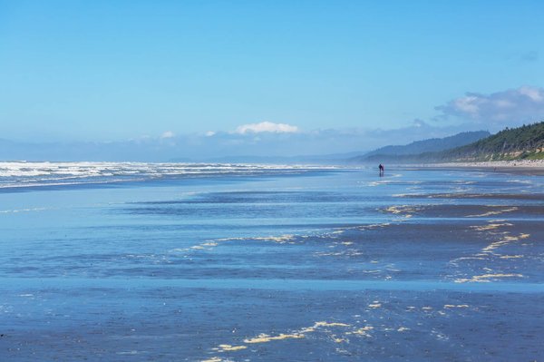 Comment les écoles peuvent-elles intégrer des cours sur la médiation et la résolution de conflits pour créer un environnement pacifique ?